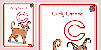 Grade R Letter C c sound | Grade R Phonics | English | South Africa | Twinkl