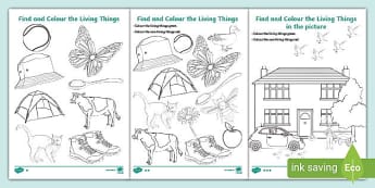Find and Colour the Living and Non-Living Things Worksheet