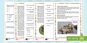 KS1 Geese Differentiated Comprehension Worksheets - Children's Books, story, book, Easter, save, saving, Easter Bunny, bunny, bunnies, stories, chick, 