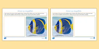 Angelfish Artworks | twinkl.co.uk