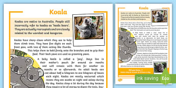 Why are Koalas Endangered? - Earth.Org Kids