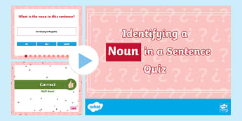 Identifying a Noun in a Sentence PowerPoint Quiz
