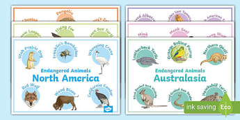 Endangered Animals Posters