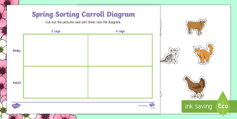 Cat Maths Activities | twinkl.co.uk