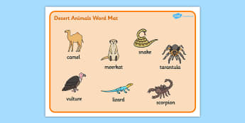 Desert Animals Coloring Sheets Classroom Resource Twinkl