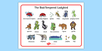 The Bad Tempered Ladybird Activities Games And Worksheets