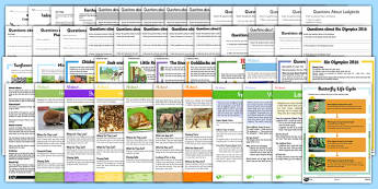 Language, Literacy and Communication Skills Reading Primary Resou