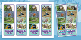 Bird Photo Strip Bookmarks