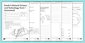 Technology Assessments | twinkl.co.uk