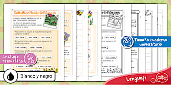 Guía | Trabajo | Sustantivos | Plurales | Primavera |