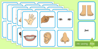 KS1 Body Parts Word and Picture Matching Cards
