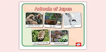 Japan Animals • Twinkl.co.uk