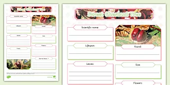Biology Fact File Template • Twinkl.com.au