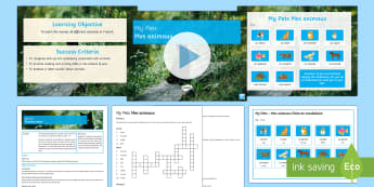  Cover Lesson: My Pets Lesson Pack French - pets, animals, cover work, KS3 cover, animaux,French