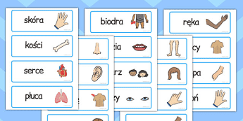 Body Parts Word Cards | twinkl.com.au