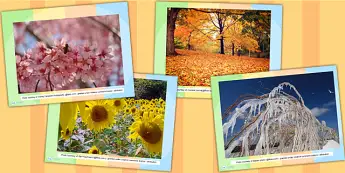 Four Seasons Resources | twinkl.co.uk