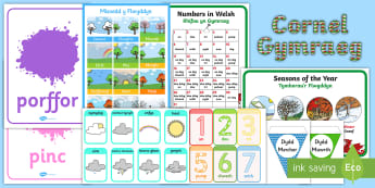 Our Language Promise Welsh Area Display Pack - welsh, siarter iaith, cornel cymraeg, our language promise, welsh, welsh display