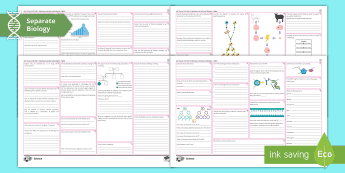 Evolution Resources | twinkl.co.uk