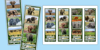 Elephant Photo Strip Bookmarks