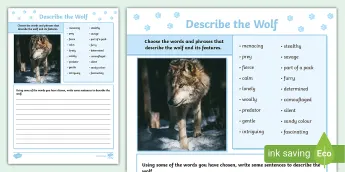 Wolf Activities | twinkl.co.uk