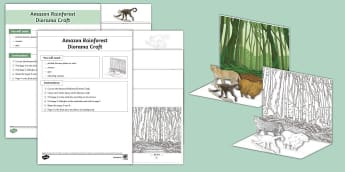 Rainforest Resources | KS2 Primary - Twinkl