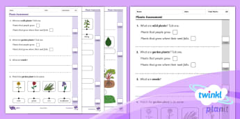 What are Attainment Grades? - Twinkl Teaching Wiki - Twinkl