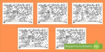 Arte E Immagine Classi Prima E Seconda Scuola Primaria Page 3