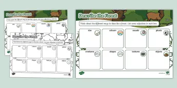 Forest Education Resources | twinkl.com.au
