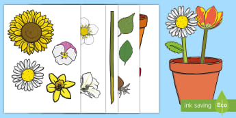 نشاط أجزاء النبات لتعريف الأطفال بأجزاء النباتات.