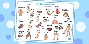 Body Topics | twinkl.co.uk