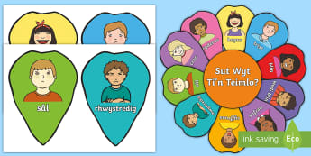 Emotions Flowers Resource Pack Welsh - Welsh, sut wyt ti, fflic a fflac, emotions, emosiynau, teimladau, feelings, trafod, discuss, communicate, cyfathrebu