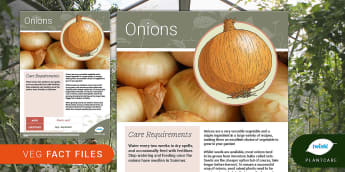 Garden Veg Fact File: Onions, Plantcare, growing vegetables