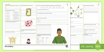 KS3 Science Resources | Secondary Science | Beyond - Twinkl