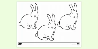 Rabbit Art Activities | twinkl.co.uk