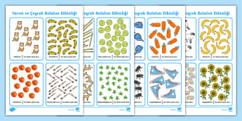 Yarım ve Çeyrek Bulalım Etkinliği