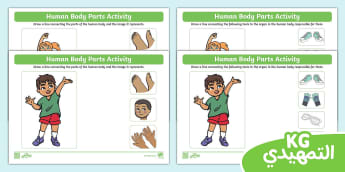 Human Body Parts Activity