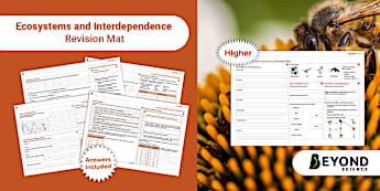 Ecosystems and Interdependence | KS3 Biology | Beyond