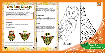 Owl Art Crafts | twinkl.co.uk