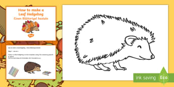 Hibernation Themes - Hibernation Activities For Preschoolers