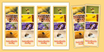Bee Photo Strip Bookmarks