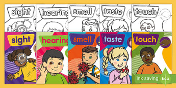 Senses Grade R Senses - Grade R - English Medium South Africa