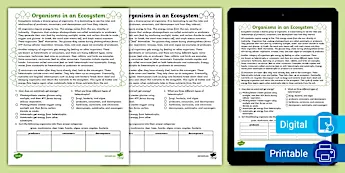Ecosystem Reading Comprehension Worksheets | twinkl.com