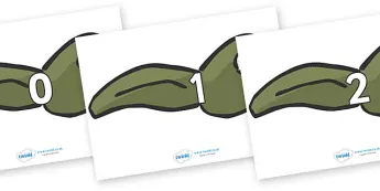 Classroom Tadpoles | twinkl.ca