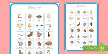 身体部位 海报 身体部位名称 海报 展示 头发