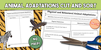 Animal Adaptations Activities | twinkl.com