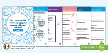 Planeación de primer grado de integración y diagnóstico