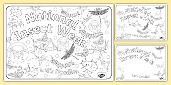 Insect Week Colouring In Doodle Biology Colouring Pages | twinkl.co.uk