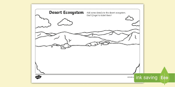 Desert Ecosystem Project | Twinkl