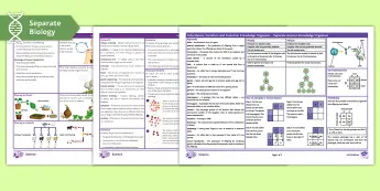 Evolution Resources | twinkl.co.uk
