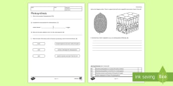 ks3 biology secondary science resources beyond